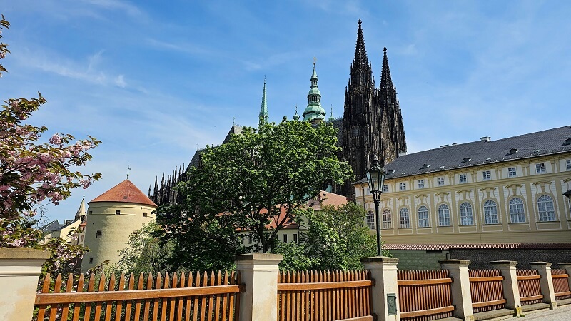 Vit cathedral