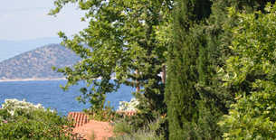 Edem Villa